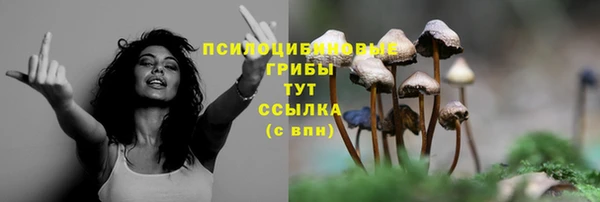 гидропоника Аркадак